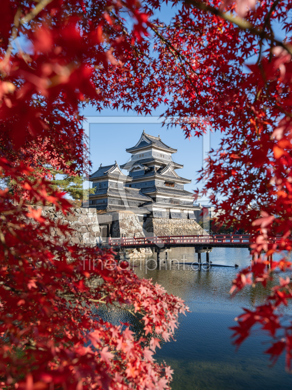 Bild-Nr.: 12833423 Burg Matsumoto mit rotem Herbstlaub erstellt von eyetronic
