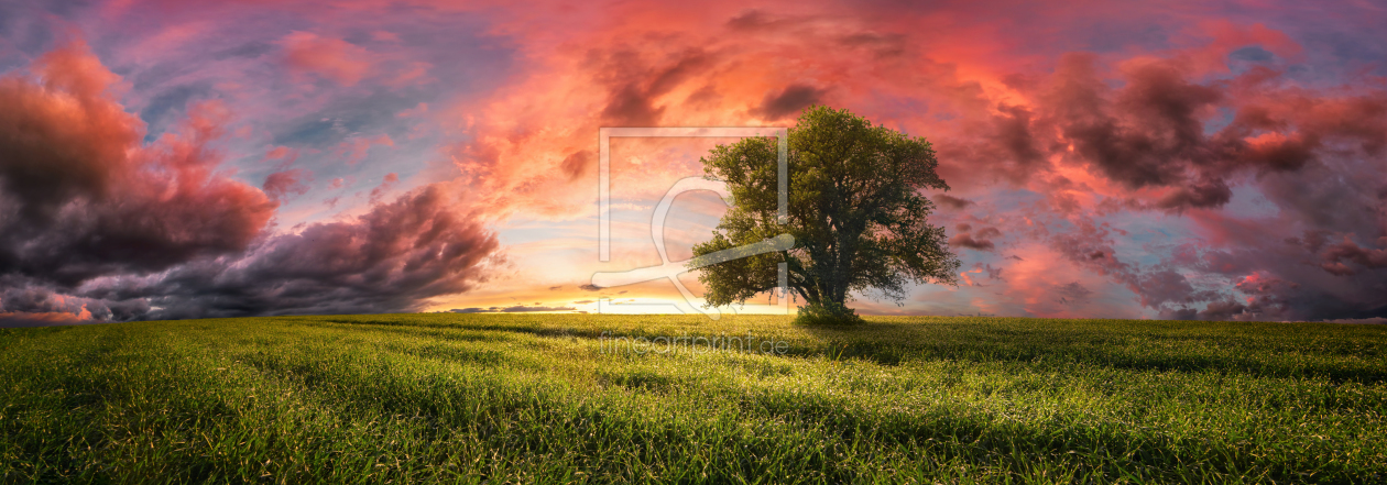 Bild-Nr.: 12835394 Einsamer Baum bei spektakulärem Sonnenuntergang erstellt von Smileus