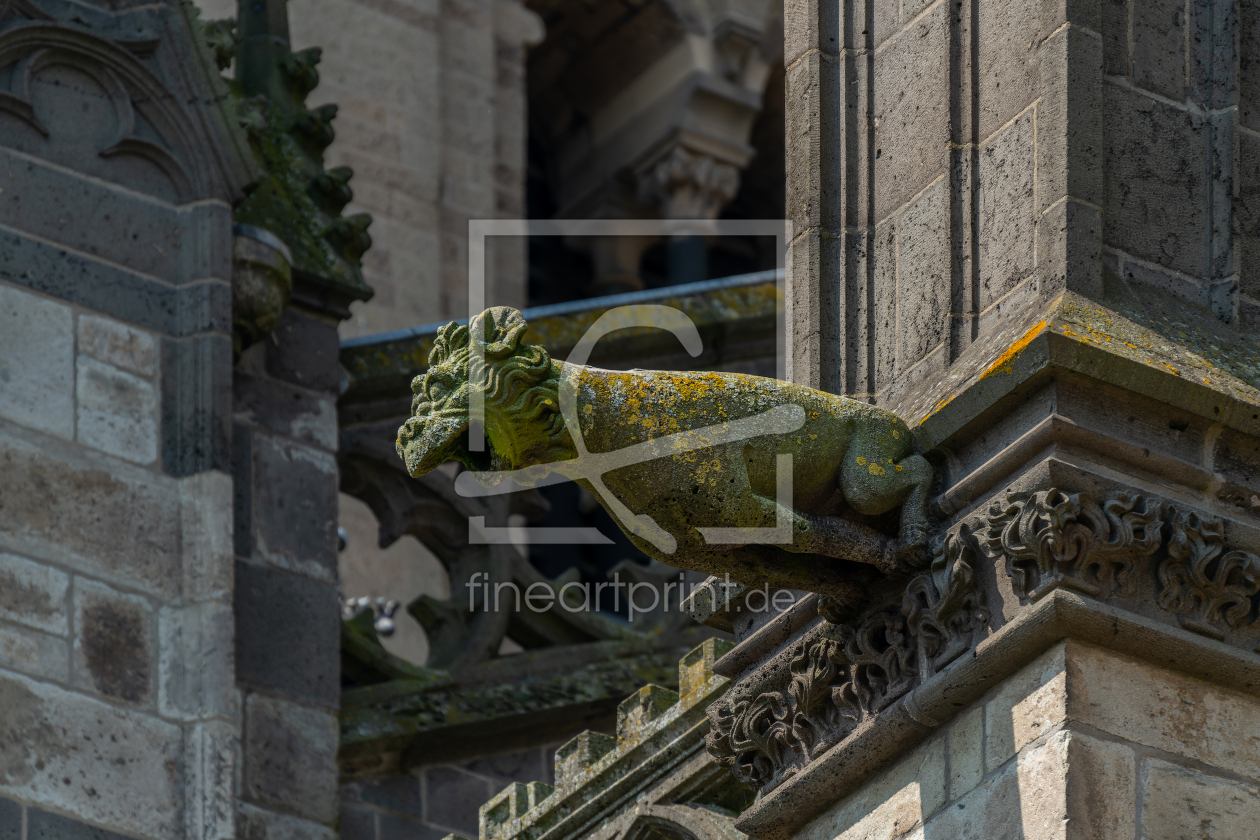 Bild-Nr.: 12837257 ein historischer Wasserspeier am Xantener Dom erstellt von volker heide