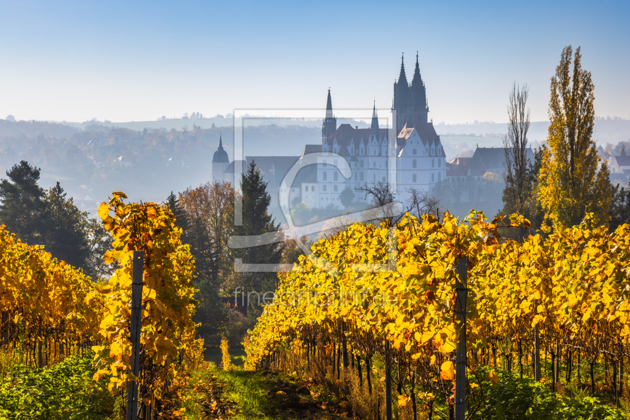 Bild-Nr.: 12838631 Albrechtsburg und Dom mit Weinlaub erstellt von Daniela Beyer
