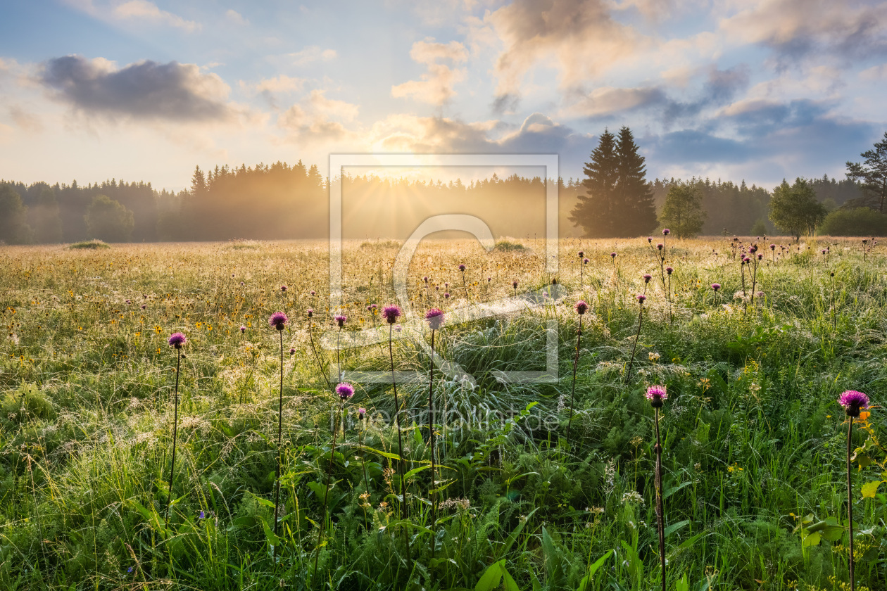 Bild-Nr.: 12838875 Sommermorgen im Erzgebirge erstellt von Daniela Beyer