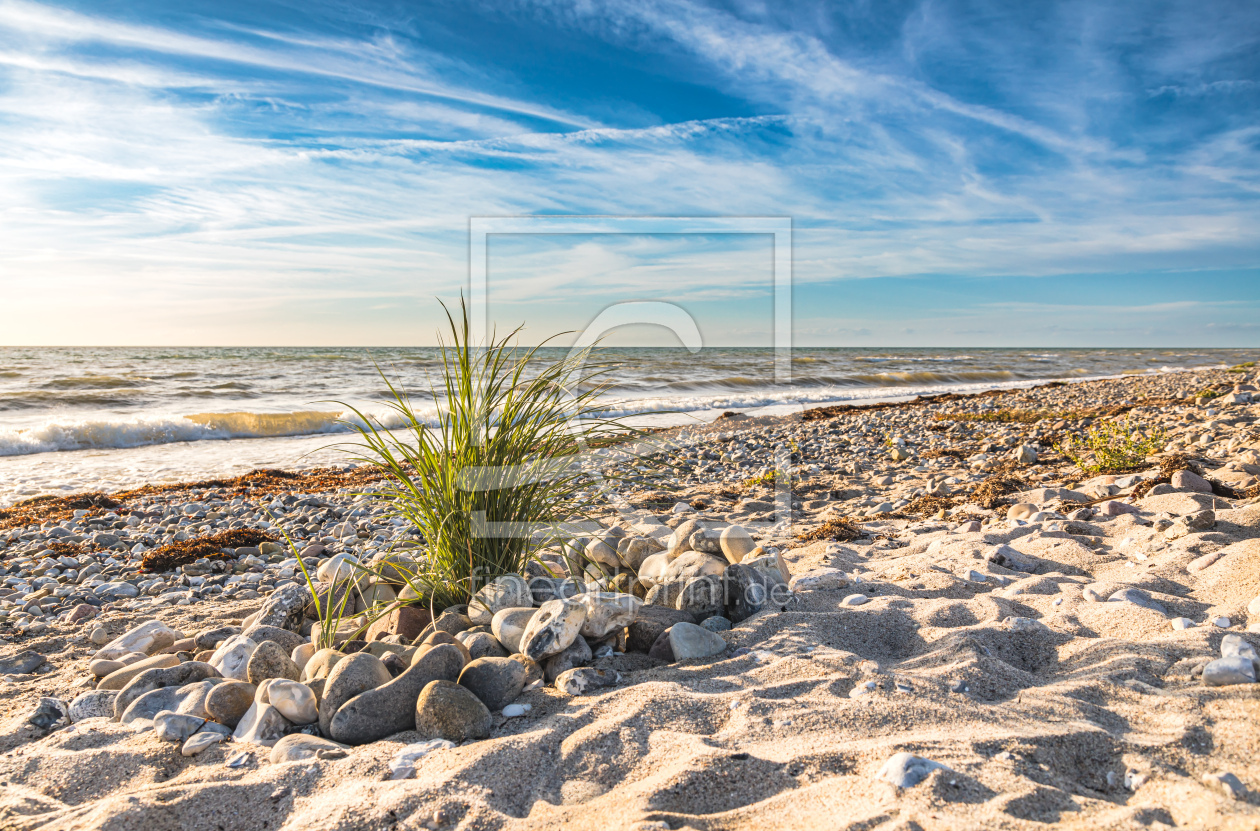 Bild-Nr.: 12839345 Abendstimmung am Ostsee Naturstrand erstellt von Ursula Reins