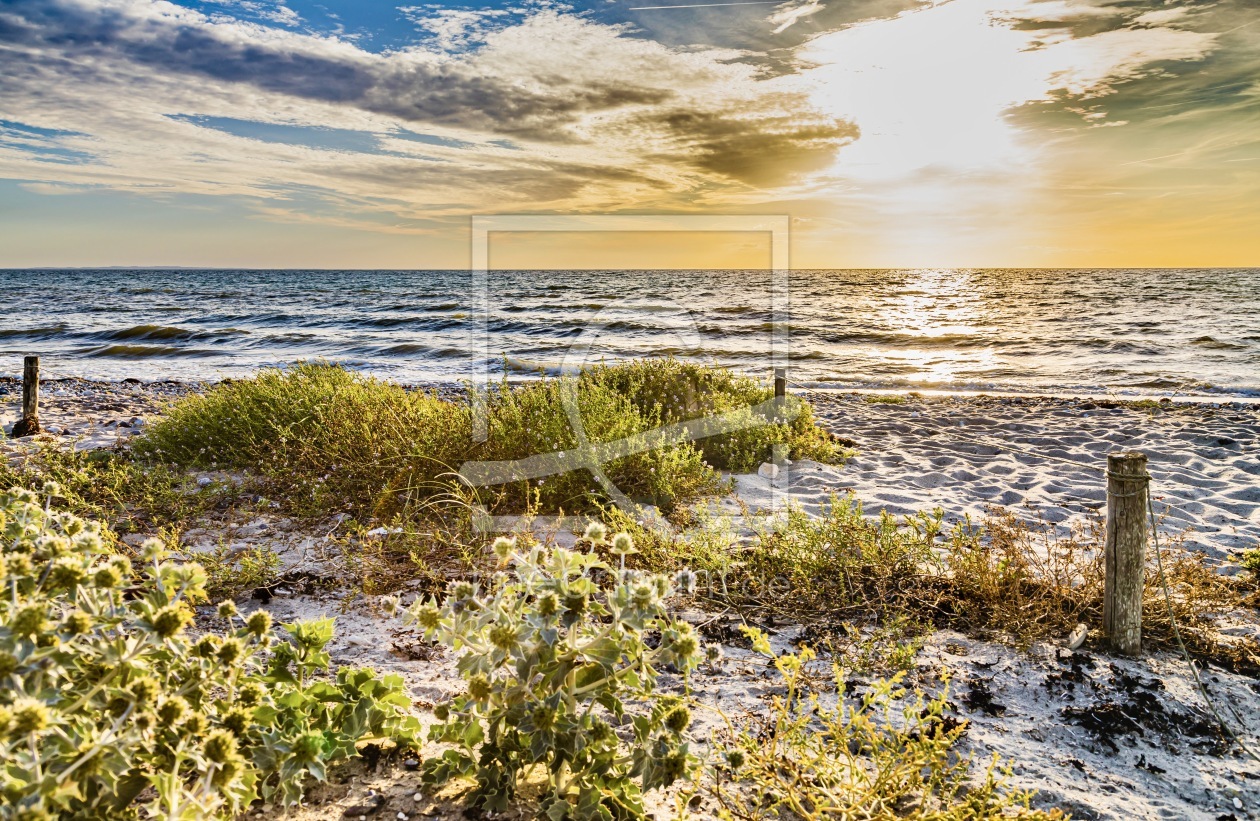 Bild-Nr.: 12839358 Goldene Stunde am Ostseestrand erstellt von Ursula Reins