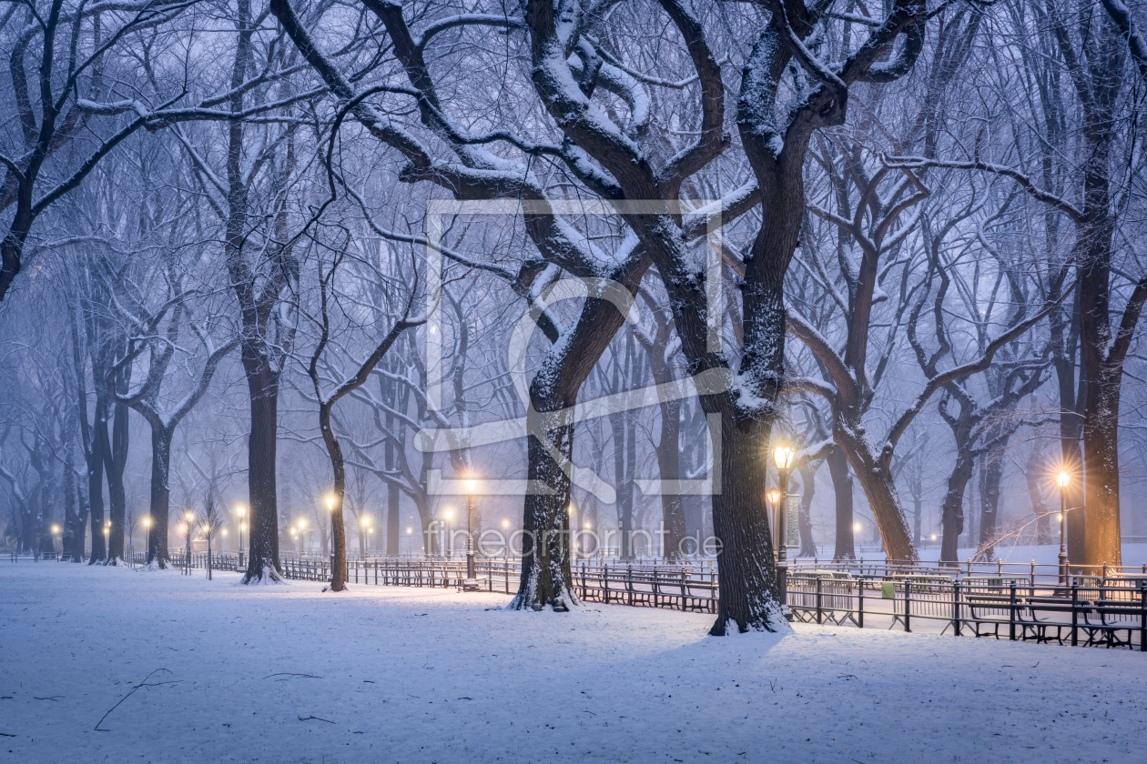 Bild-Nr.: 12840685 Central Park im Winter erstellt von eyetronic