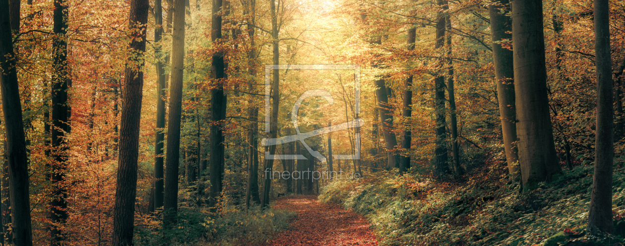 Bild-Nr.: 12841144 Harmonische Herbstlandschaft in einem bunten Wald erstellt von Smileus