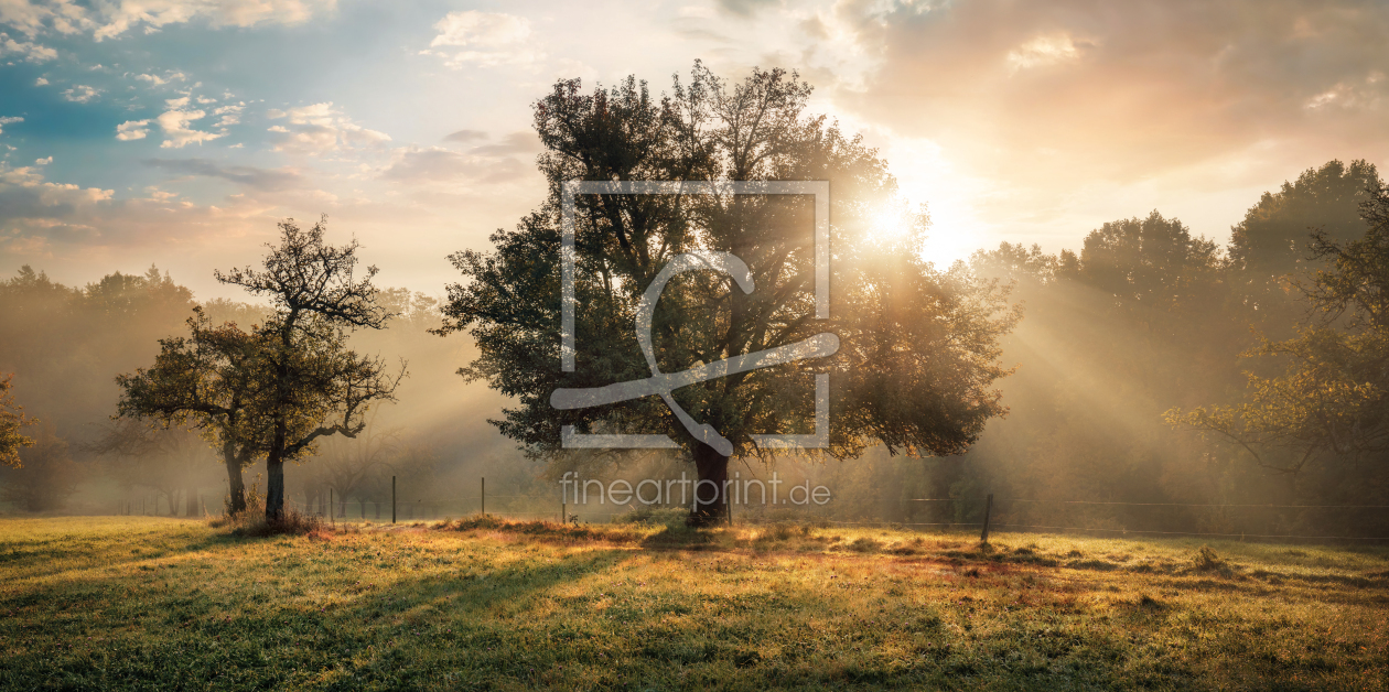 Bild-Nr.: 12841147 Stimmungsvolle Landschaft mit goldener Sonne erstellt von Smileus