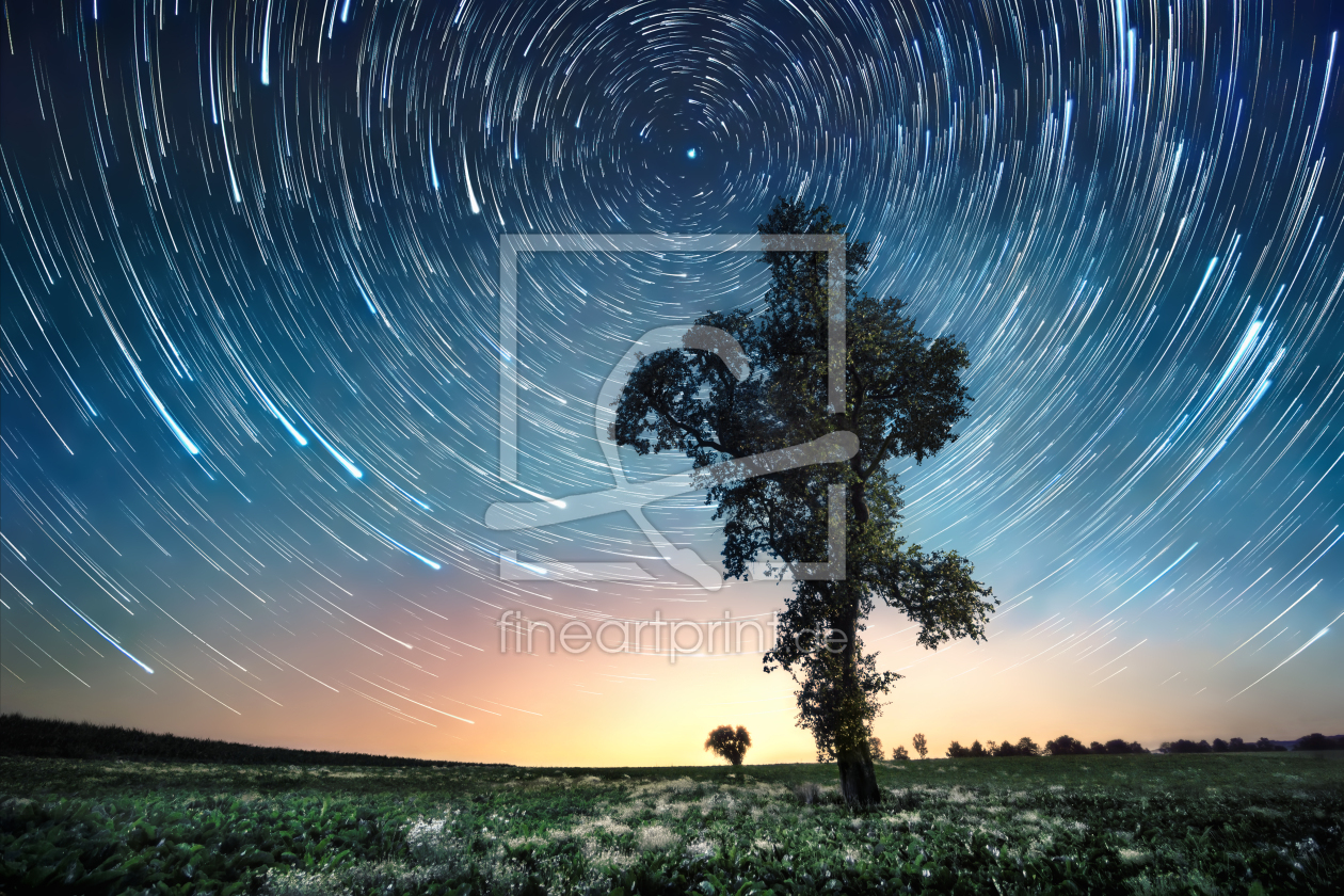 Bild-Nr.: 12843371 Silhouette von Bäumen in der Nacht mit Sternspuren erstellt von Smileus