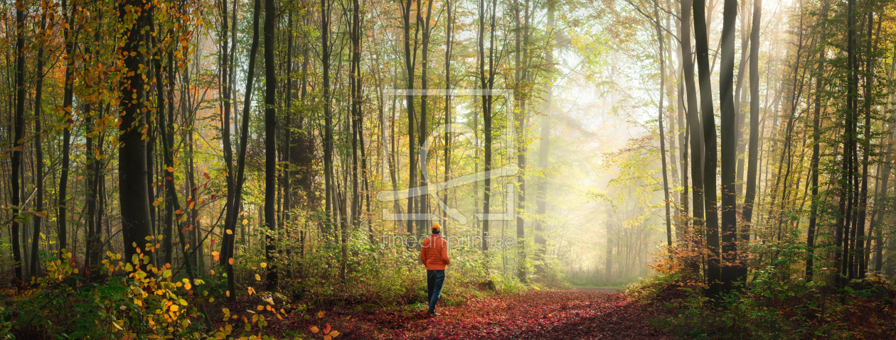 Bild-Nr.: 12843813 Einsamer Spaziergang durch stimmungsvollen Wald erstellt von Smileus