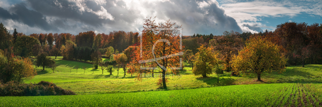 Bild-Nr.: 12844252 Ländliches Paradies in herrlichem Licht erstellt von Smileus