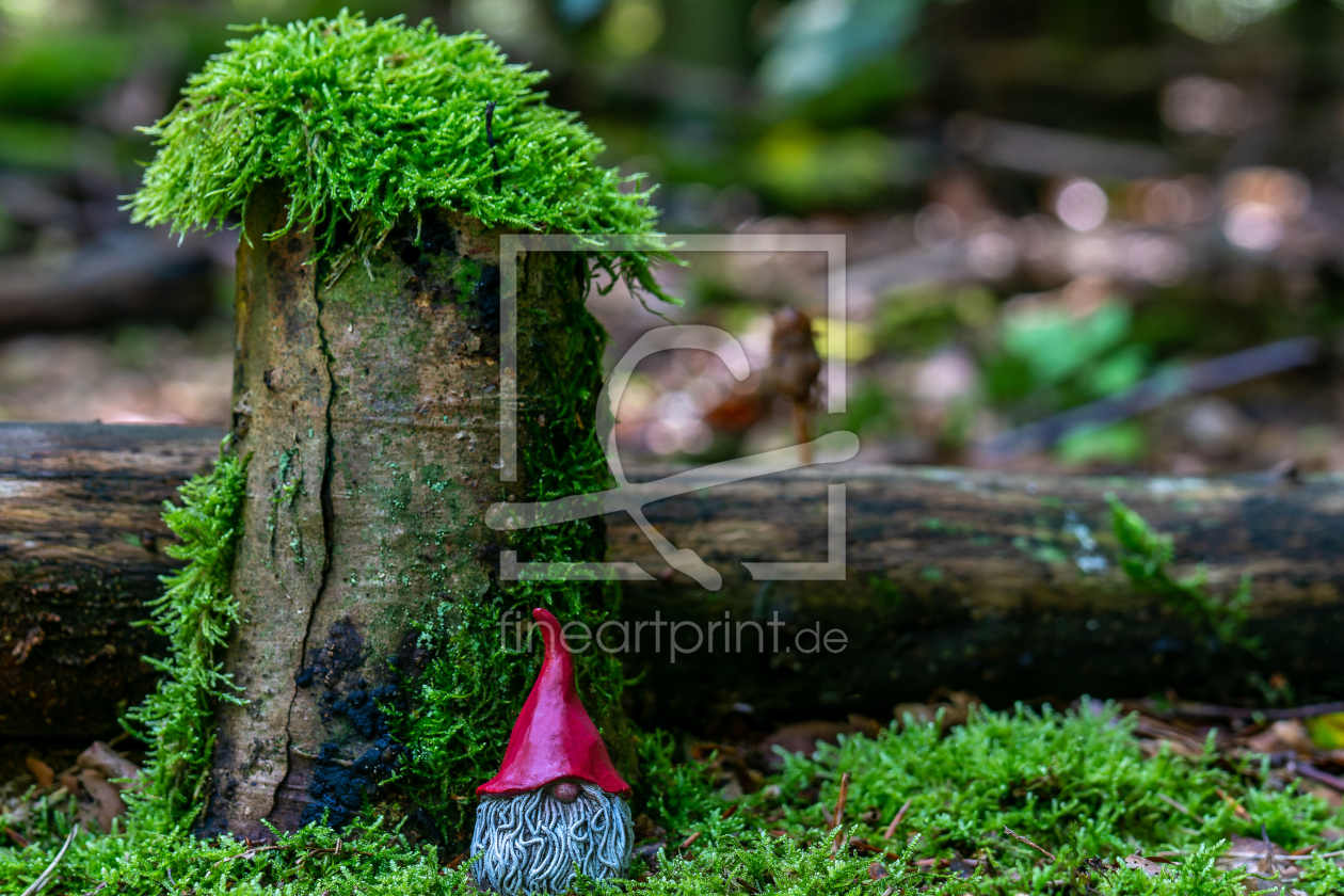Bild-Nr.: 12845367 kleiner Wichtel im Wald erstellt von volker heide