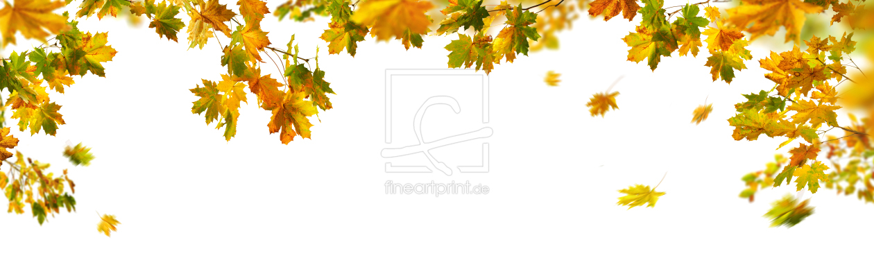 Bild-Nr.: 12845377 Wunderschöne Herbstblätter auf weißem Hintergrund erstellt von Smileus