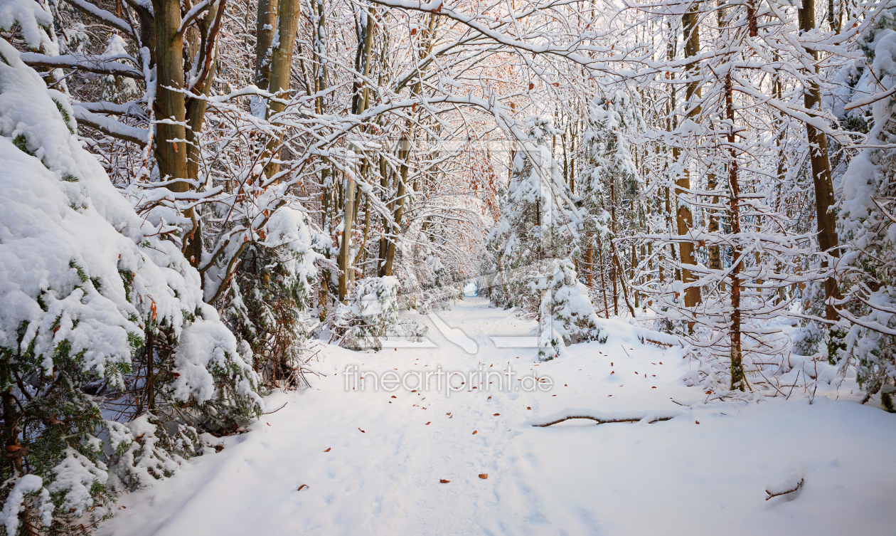 Bild-Nr.: 12847044 Weg im Winterwald II erstellt von SusaZoom
