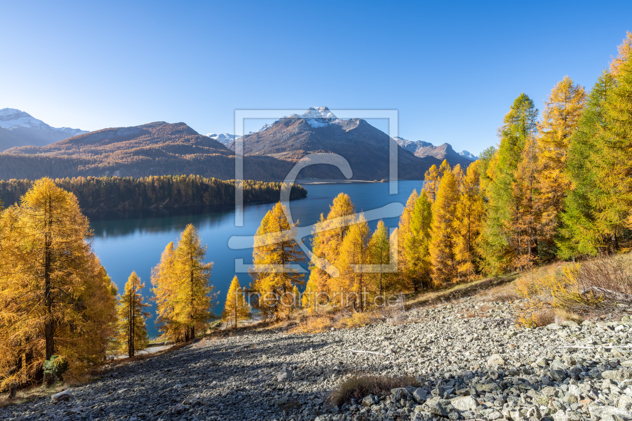 Bild-Nr.: 12847595 Silsersee im sonnigen Herbst erstellt von eyetronic