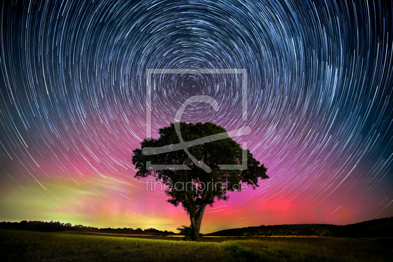 Bild-Nr.: 12849614 Einsamem Baum mit Nordlichtern und Sternspuren erstellt von Smileus