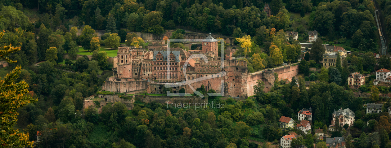 Bild-Nr.: 12849814 Luftaufnahme des Schlosses in Heidelberg erstellt von Smileus
