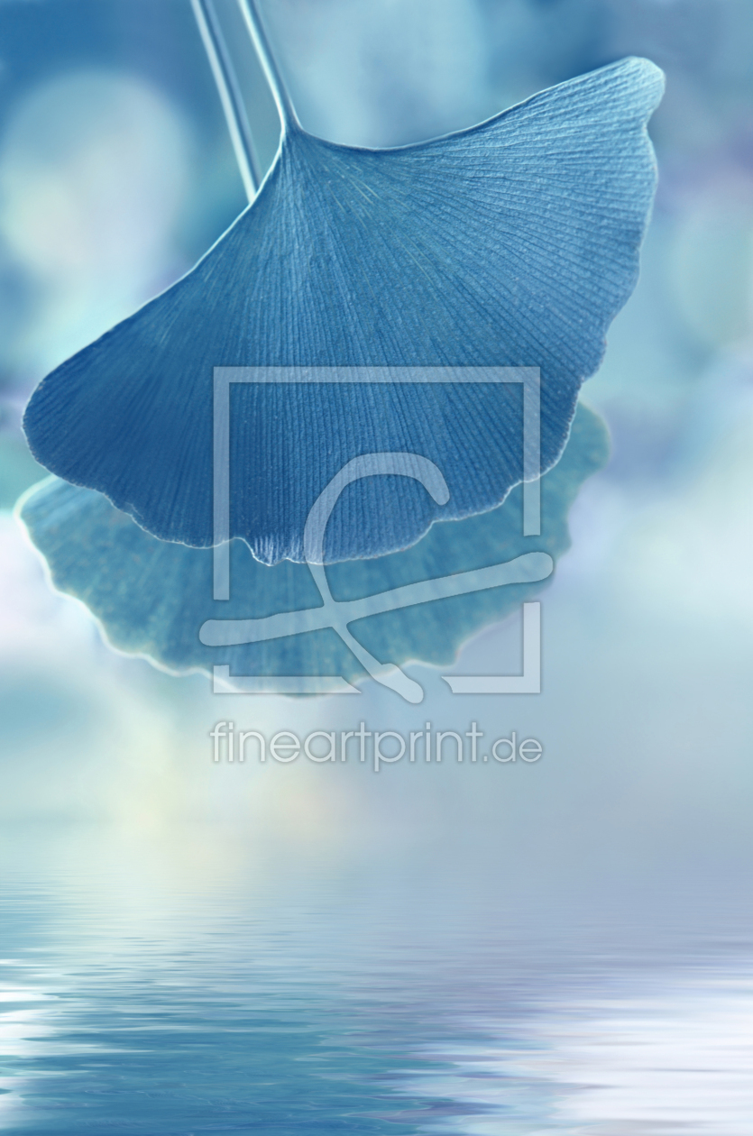 Bild-Nr.: 12850775 Ginkgo in Blau erstellt von Atteloi