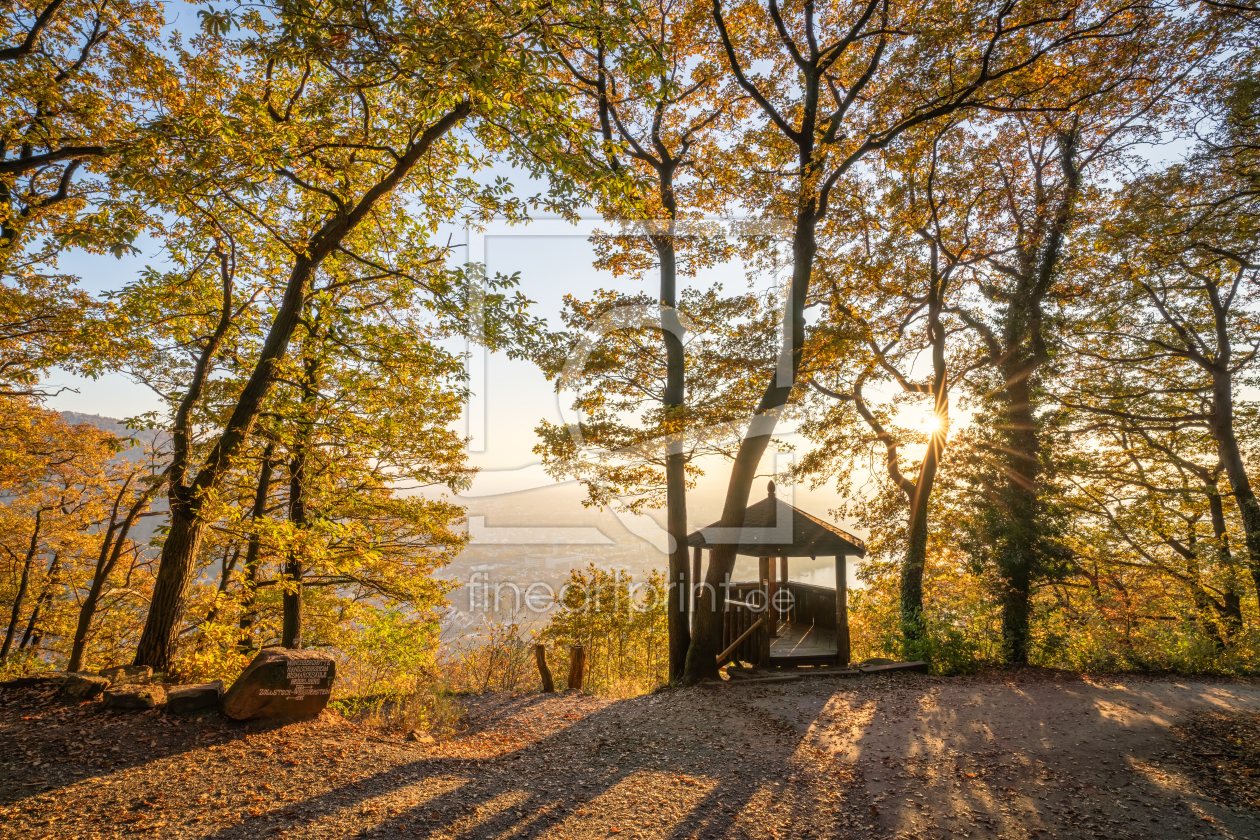 Bild-Nr.: 12851290 Aussicht vom Fuchsrondell in Heidelberg erstellt von eyetronic