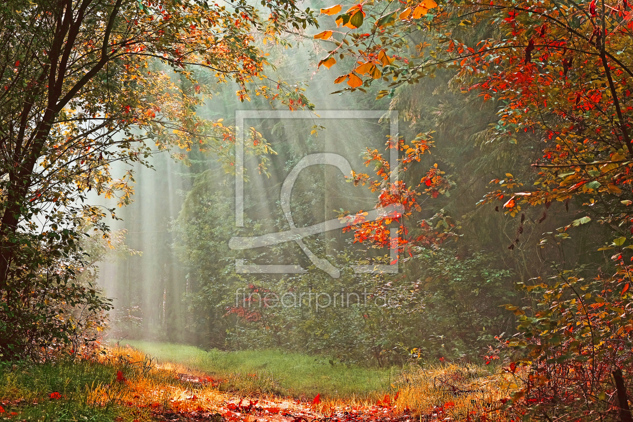 Bild-Nr.: 12851611 Herstwald erstellt von Ostfriese