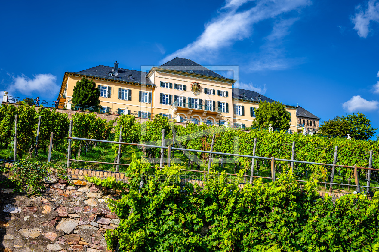 Bild-Nr.: 12851679 Schloss Johannisberg 18 erstellt von Erhard Hess