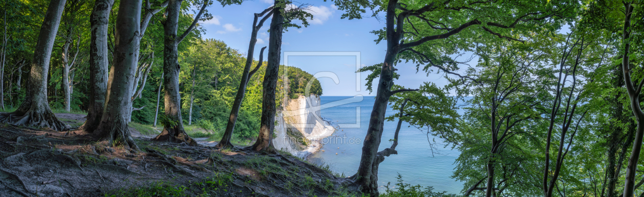 Bild-Nr.: 12851737 Jasmund Nationalpark auf Rügen erstellt von eyetronic