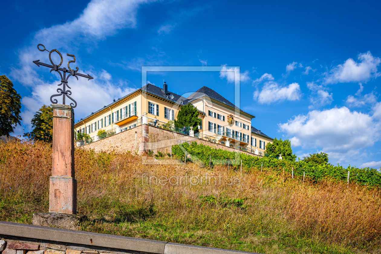 Bild-Nr.: 12851914 Schloss Johannisberg 29 erstellt von Erhard Hess