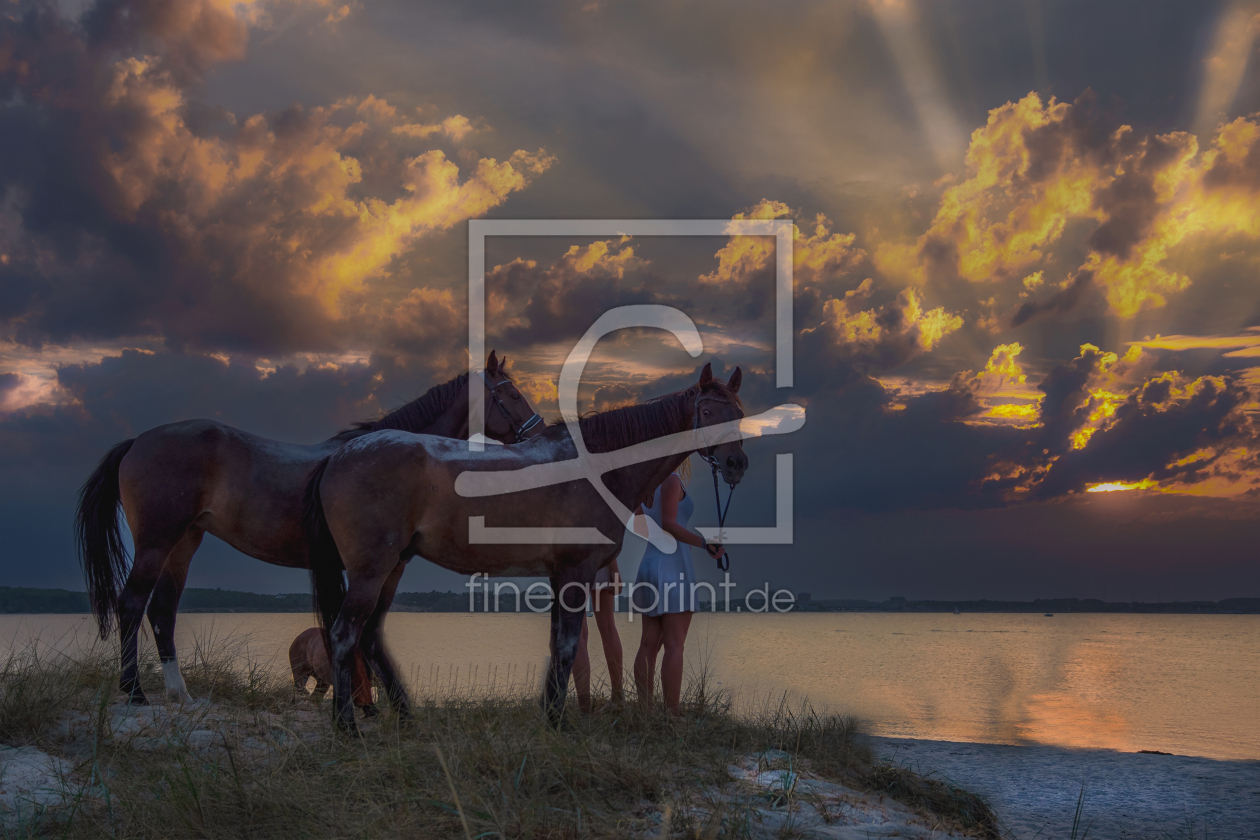 Bild-Nr.: 12852096 Pferde am Strand im Sonnenuntergang erstellt von Tanja Riedel