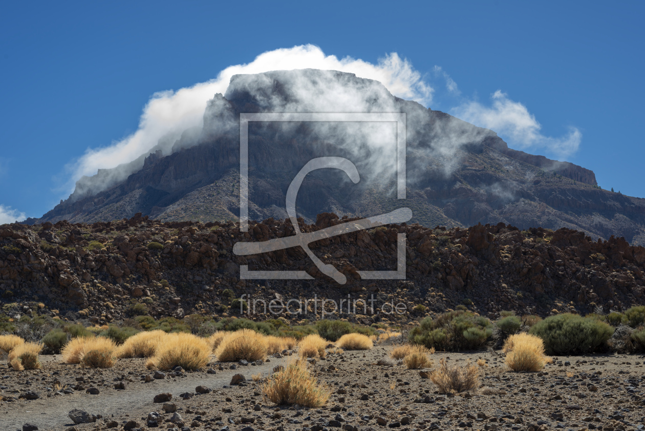 Bild-Nr.: 12852762 Nationalpark Teide erstellt von Walter G. Allgöwer