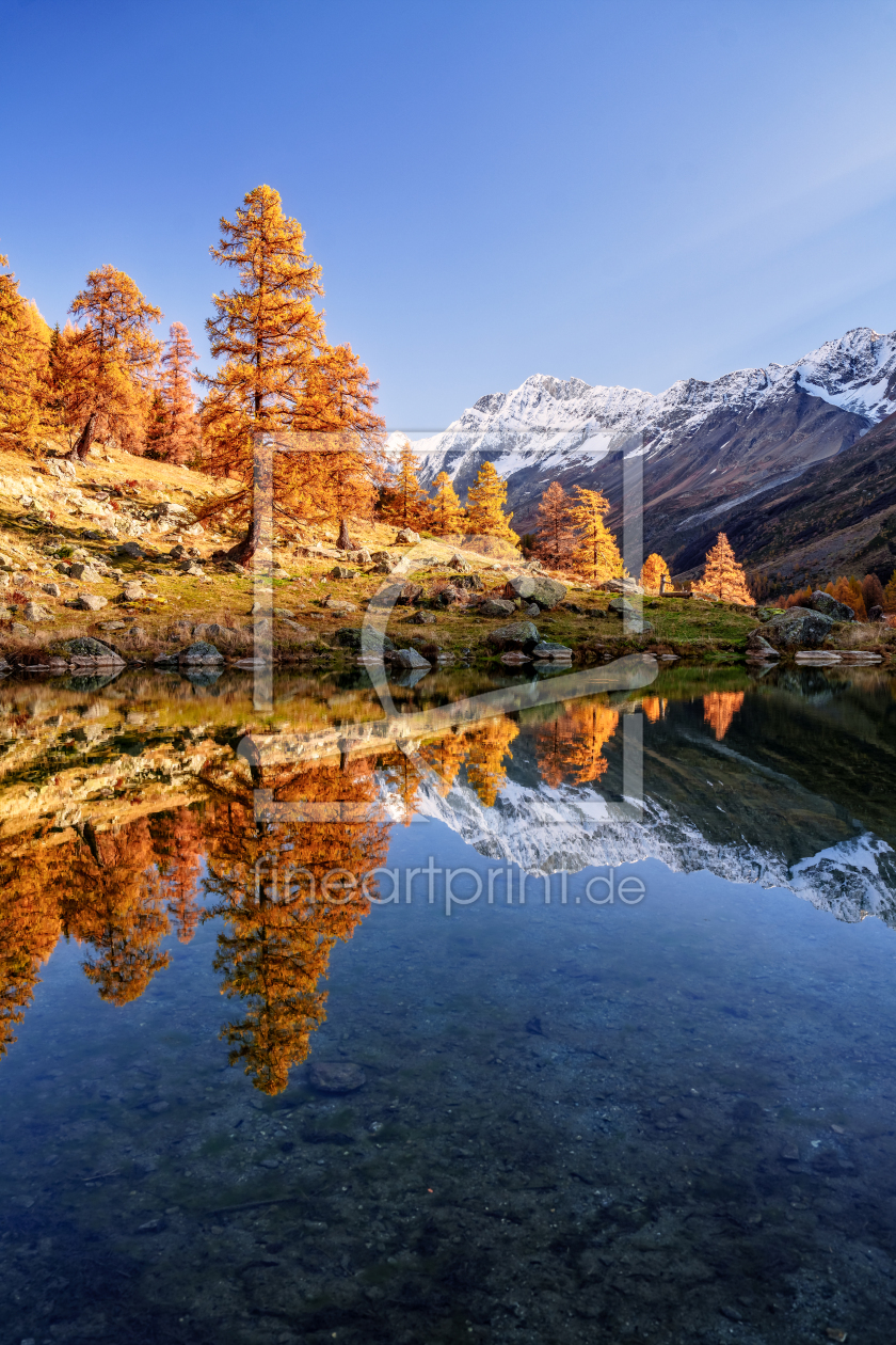 Bild-Nr.: 12853322 Goldener Oktober im Lötschental - Wallis - Schwei erstellt von Achim Thomae