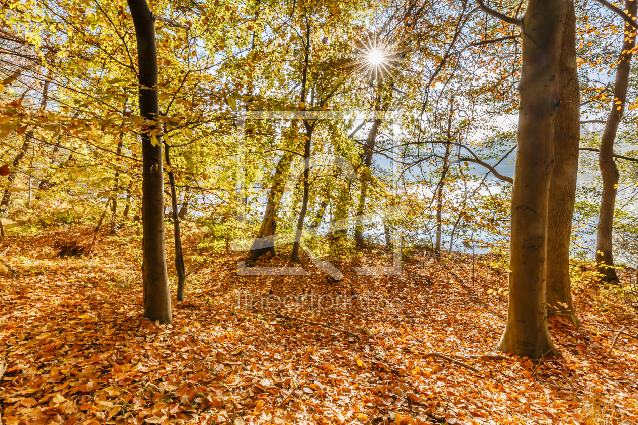 Bild-Nr.: 12853434 Herbst am See  erstellt von Ursula Reins