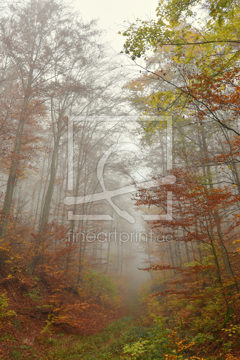 Bild-Nr.: 12854496 Herbstwald erstellt von GUGIGEI