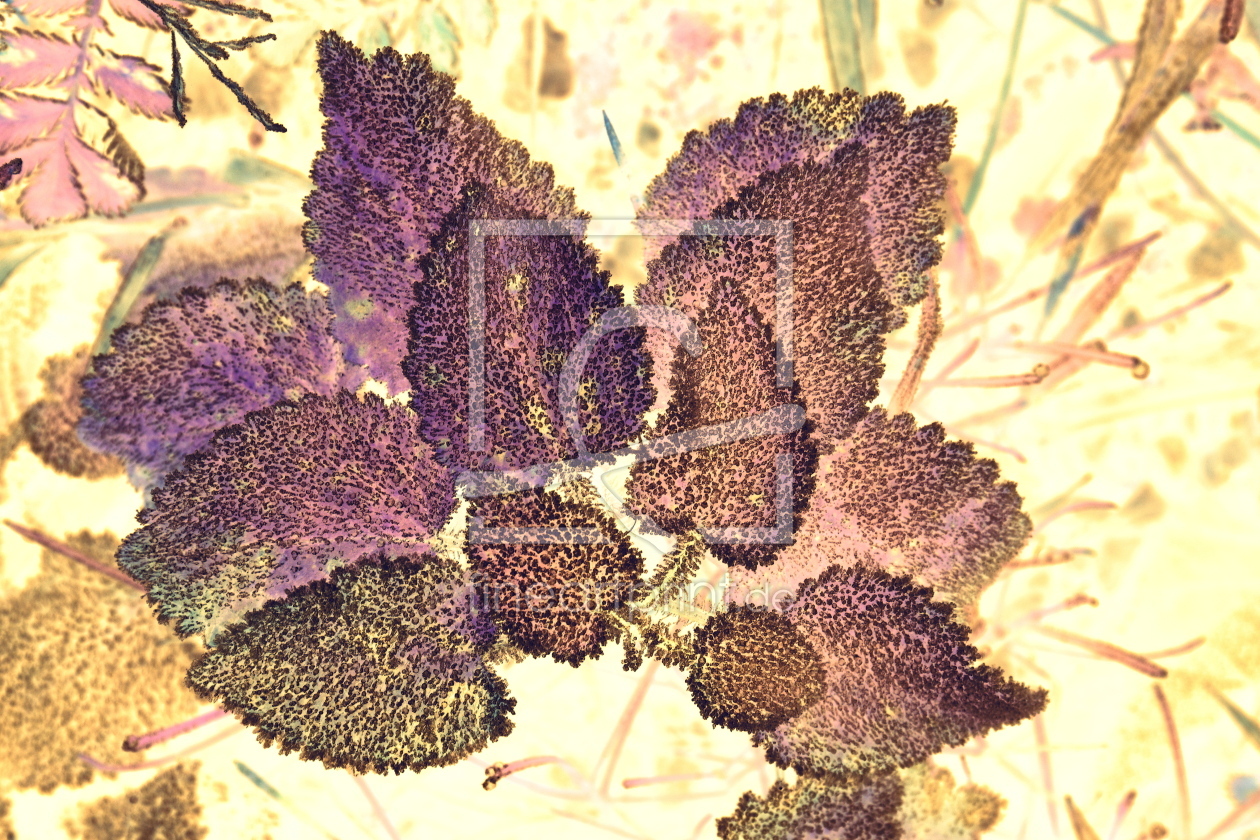 Bild-Nr.: 12854502 Blatt Art erstellt von GUGIGEI