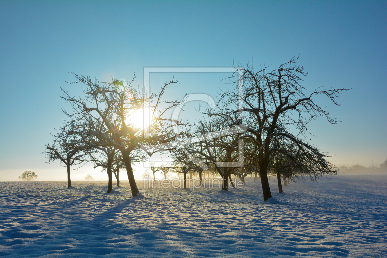 Bild-Nr.: 12857102 Winter Idylle  erstellt von Claudia Evans