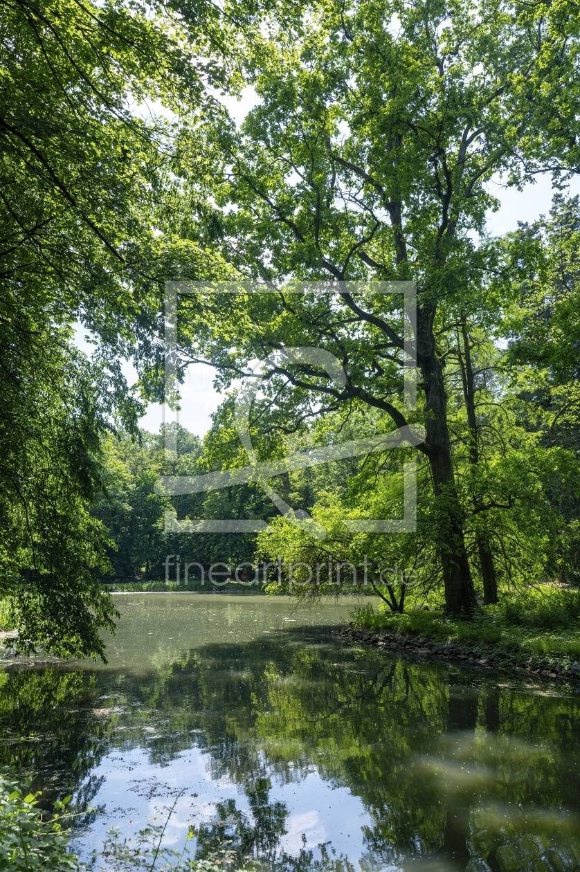 Bild-Nr.: 12860113 Die Bäume am See  erstellt von Claudia Evans