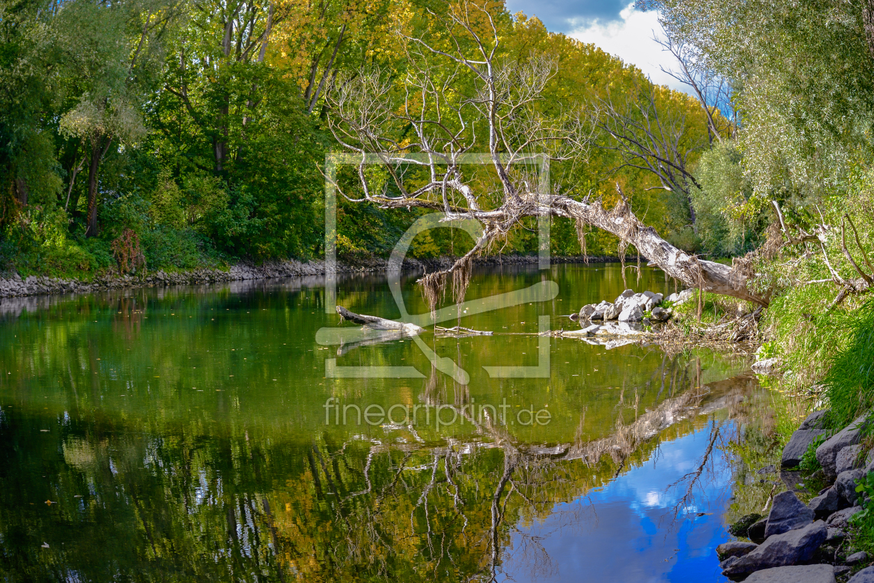 Bild-Nr.: 12862662 Natur  erstellt von Gregor Handy