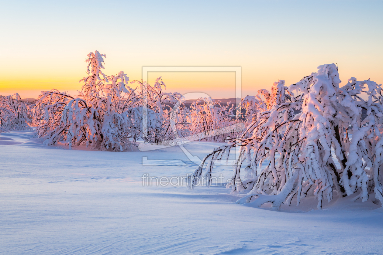 Bild-Nr.: 12867833 Verschneite Landschaft zum Sonnenuntergang erstellt von Daniela Beyer