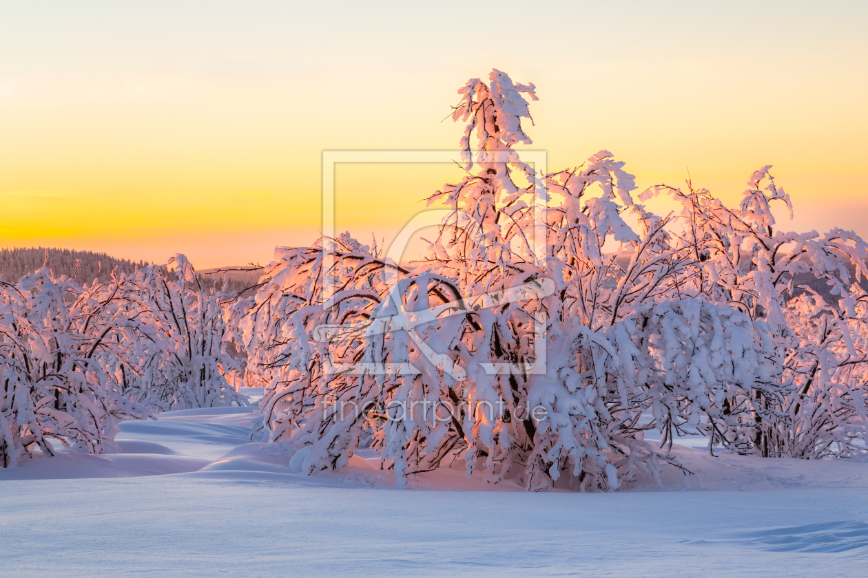Bild-Nr.: 12867834 Sonnenuntergang mit verschneiter Landschaft erstellt von Daniela Beyer