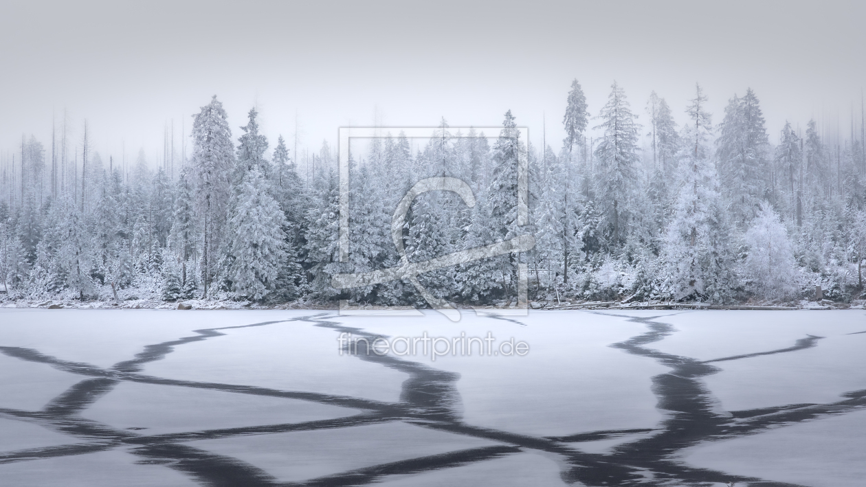 Bild-Nr.: 12869133 Wintermomente am Oderteich erstellt von Steffen Henze