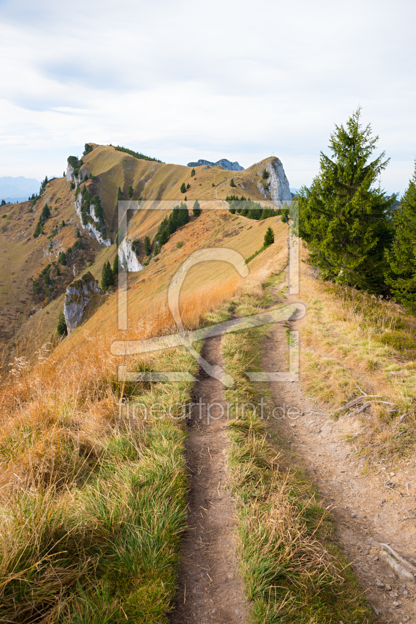 Bild-Nr.: 12871019 Höhenweg zum Latschenkopf am Brauneck erstellt von SusaZoom