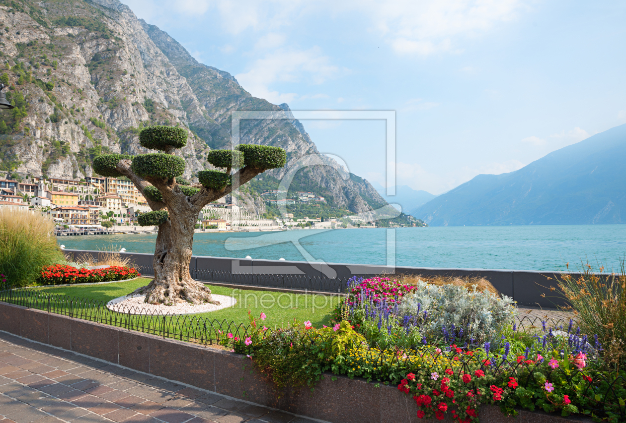 Bild-Nr.: 12871978 Seeuferpromenade Limone Sul Garda erstellt von SusaZoom