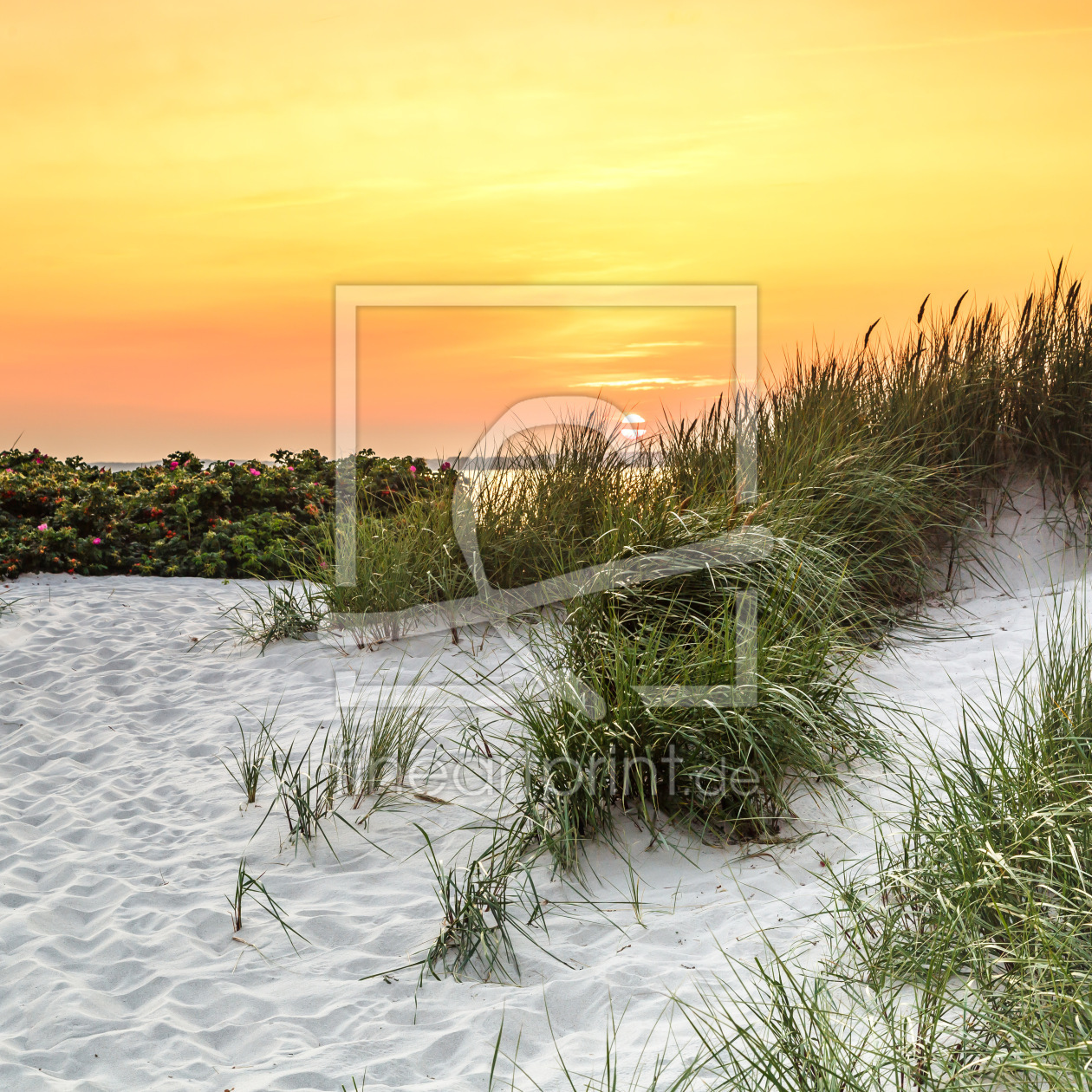 Bild-Nr.: 12873031 Sonnenuntergang am Ostseestrand erstellt von Ursula Reins