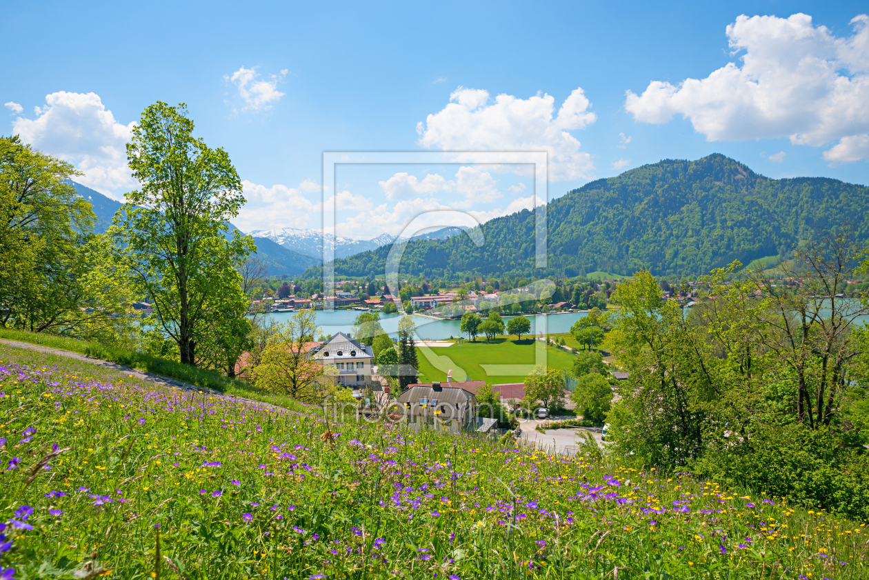 Bild-Nr.: 12874294 Blumenwiese am Leeberg Tegernsee erstellt von SusaZoom