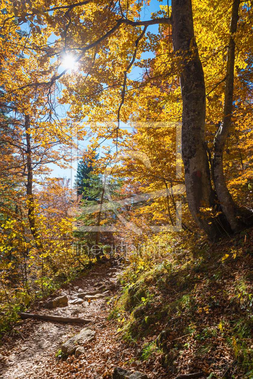 Bild-Nr.: 12874751 Herbstlicher Bergweg erstellt von SusaZoom