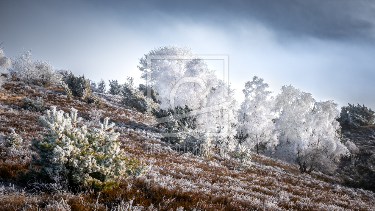 Bild-Nr.: 12875268 Frostiger Wilseder Berg  erstellt von Steffen Henze