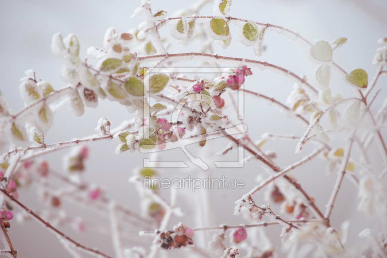 Bild-Nr.: 12875474 Winter Kunst erstellt von Tanja Riedel