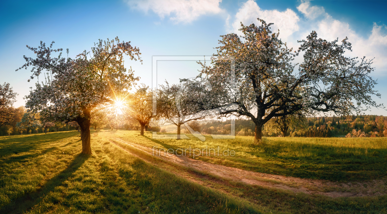Bild-Nr.: 12876518 Ländliche Idylle bei Sonnenaufgang im Frühling erstellt von Smileus