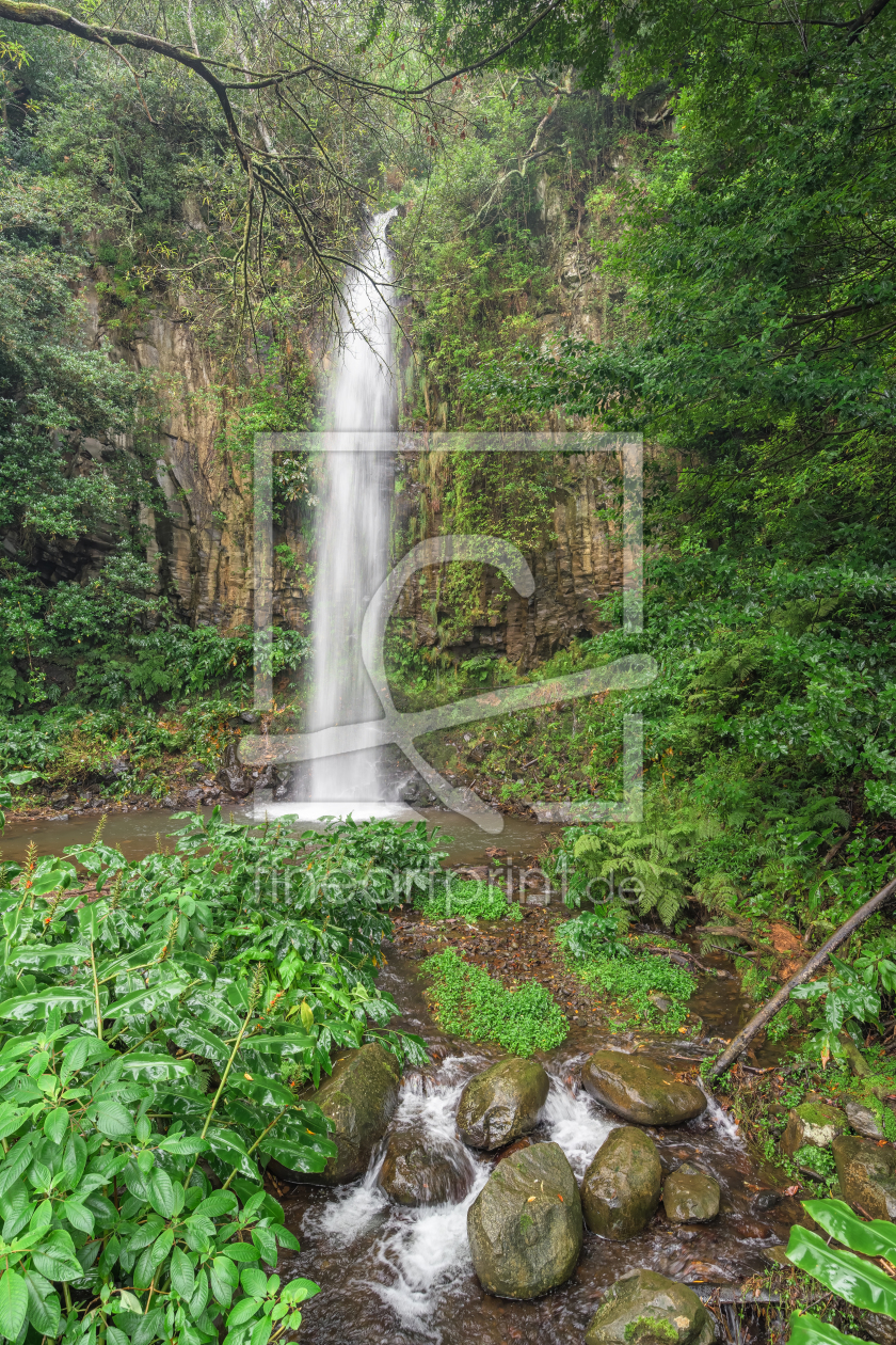 Bild-Nr.: 12877040 Wasserfall auf Madeira erstellt von Michael Valjak