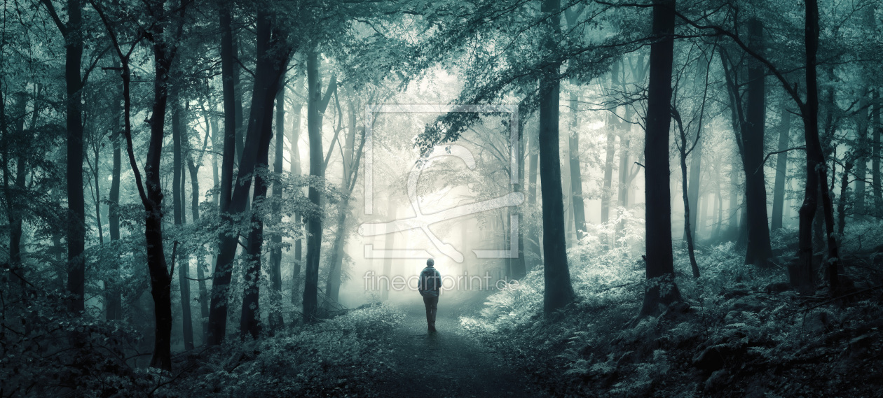 Bild-Nr.: 12877127 Spaziergang durch ein verträumten Wald erstellt von Smileus