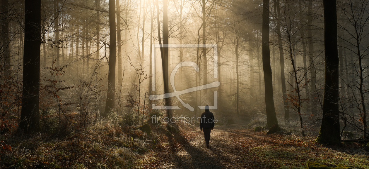 Bild-Nr.: 12877619 Ein ruhiger Spaziergang in einem nebligen Wald erstellt von Smileus