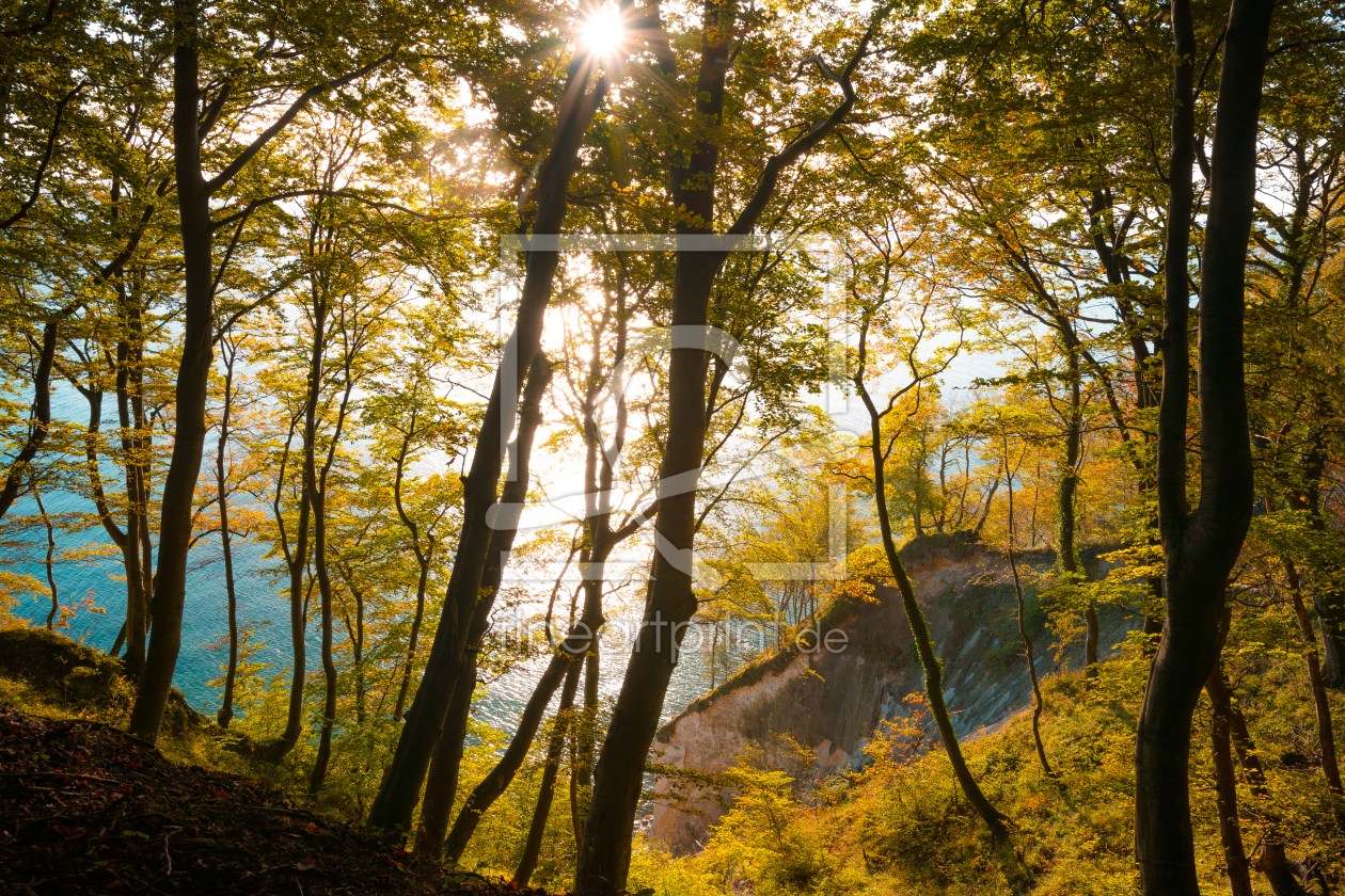 Bild-Nr.: 12878066 Sonnenaufgang an der Kreiseküste auf Rügen erstellt von Martin Martin Wasilewski