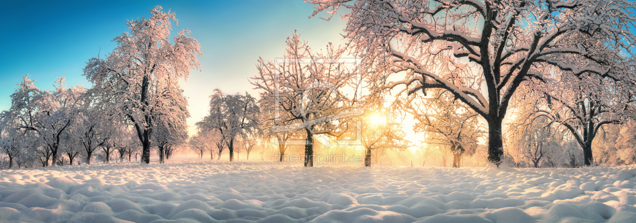 Bild-Nr.: 12878846 Verzauberte Winterlandschaft im goldenen Licht erstellt von Smileus